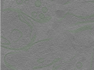 key visualization for Position071