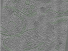 key visualization for Position071