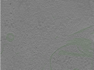 key visualization for Position073
