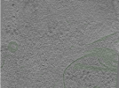 key visualization for Position073
