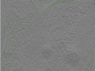 key visualization for Position074