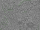 key visualization for Position074
