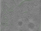 key visualization for Position074