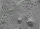 key visualization for Position074