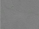 key visualization for Position075