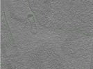 key visualization for Position075