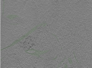 key visualization for Position078