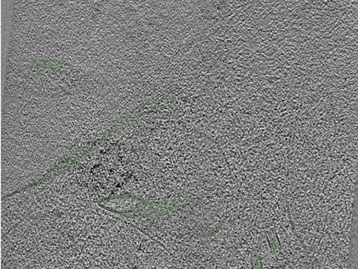 key visualization for Position078