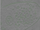 key visualization for Position079