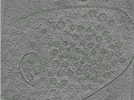 key visualization for Position079