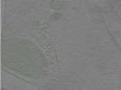 key visualization for Position081