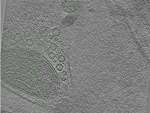 key visualization for Position081