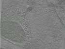 key visualization for Position081