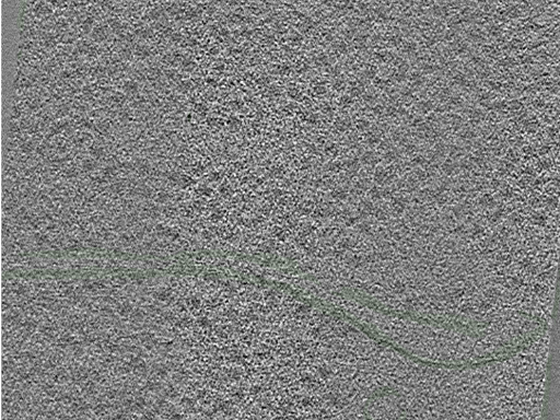 key visualization for Position083