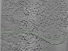 key visualization for Position083