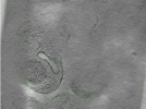 key visualization for Position087