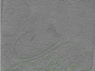 key visualization for Position003