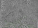 key visualization for Position003