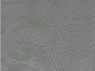 key visualization for Position005