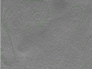 key visualization for Position006