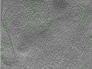 key visualization for Position006