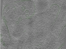 key visualization for Position006