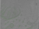 key visualization for Position007