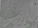 key visualization for Position007