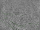 key visualization for Position011