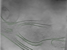 key visualization for Position011