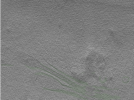 key visualization for Position012