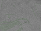 key visualization for Position013