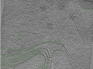 key visualization for Position013