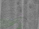 key visualization for Position013