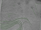 key visualization for Position013