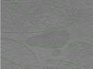 key visualization for Position014