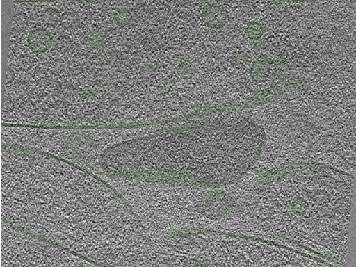 key visualization for Position014