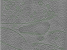 key visualization for Position014