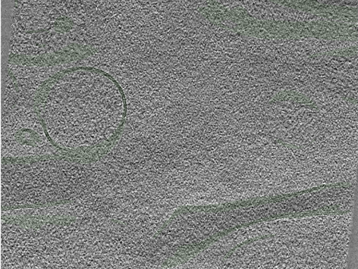 key visualization for Position015