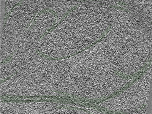key visualization for Position016