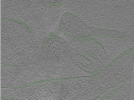 key visualization for Position018