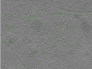 key visualization for Position020