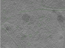 key visualization for Position020
