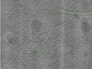 key visualization for Position020