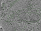 key visualization for Position001