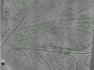 key visualization for Position001