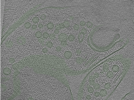 key visualization for Position003
