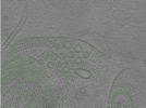 key visualization for Position006