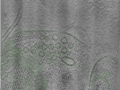 key visualization for Position006
