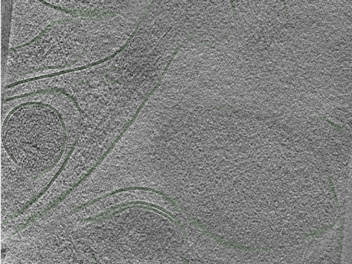 key visualization for Position007
